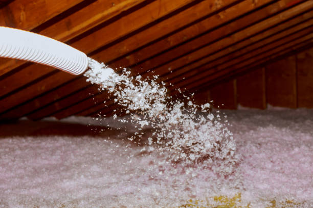 Best Spray Foam Insulation in Newport Beach, CA