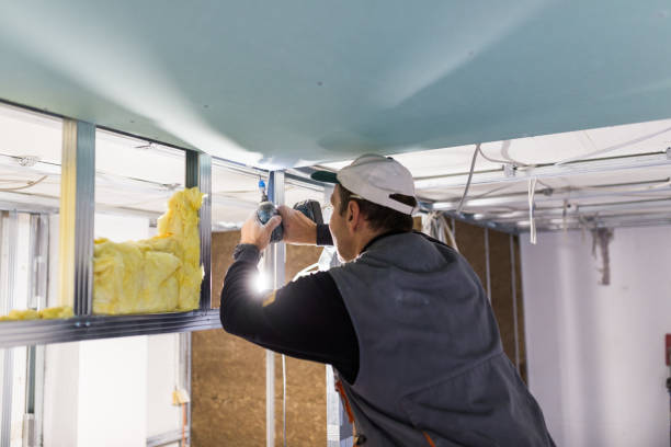 Types of Insulation We Offer in Newport Beach, CA
