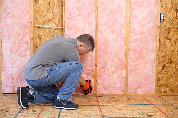 Best Cellulose Insulation in Newport Beach, CA